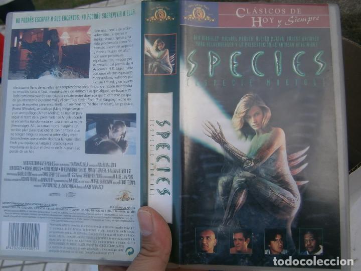 Cine: SPECIES&iexcl;&iexcl;disponemos de mas de 60.000,peliculas vhs beta 2000&iexcl;