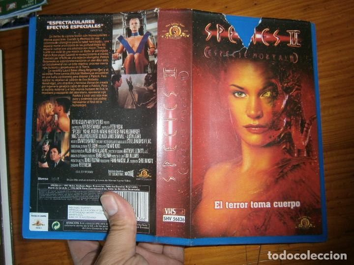Cinema: SPECIES 2&iexcl;&iexcl;DISPONEMOS,DE MAS,DE 60.000,PELICULAS,VHS,BETA,2000,