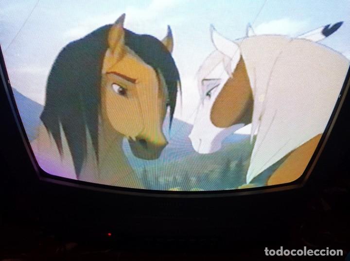 Cine: Spirit. El corcel indomable - Foto 4