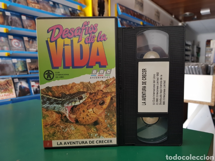 Cinema: DESAFIOS DE LA VIDA LA AVENTURA DE CRECER VHS