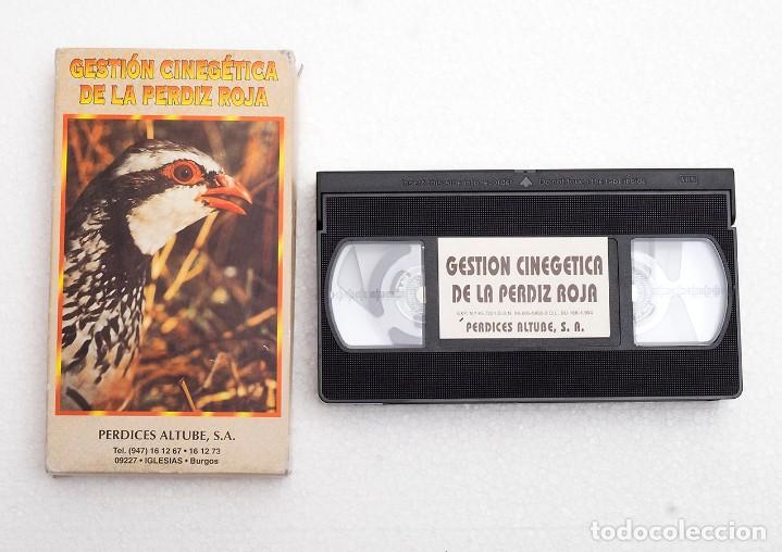 Cine: Gesti&oacute;n Cineg&eacute;tica de la Perdiza Roja. Ed. Perdices Altube SA. Iglesias (Burgos). 1994