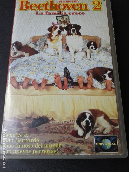 Cine: BEETHOVEN 2 - UNIVERSAL - Foto 1