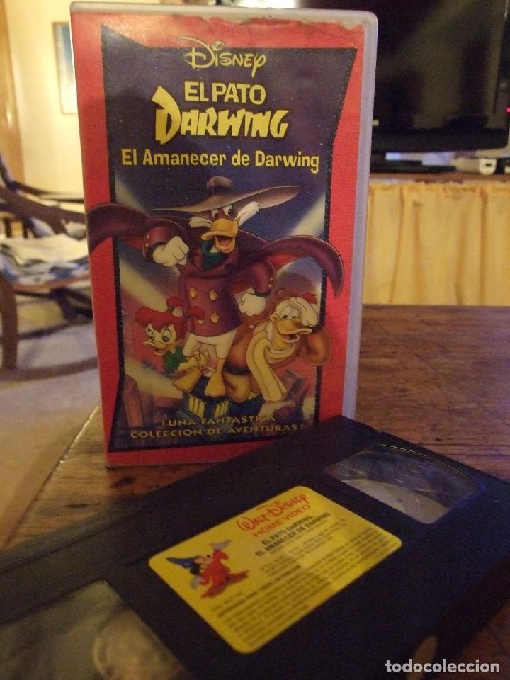 Kino: EL PATO DARWING - EL AMANECER DE DARWING - DISNEY 1993