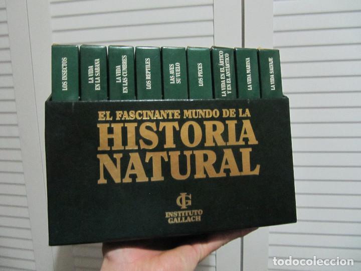 Cine: El fascinante mundo de la historia natural. 18 VHS COMPLETO-BUEN ESTADO