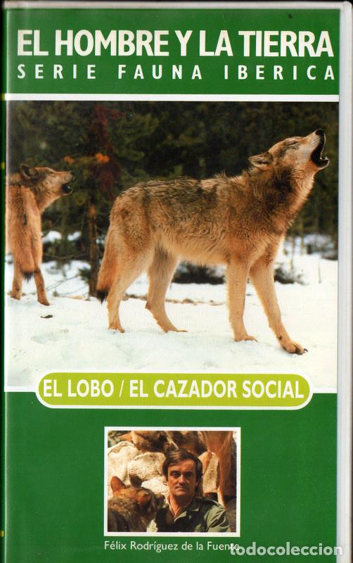 Cine: El hombre y la Tierra: El lobo - El cazador social