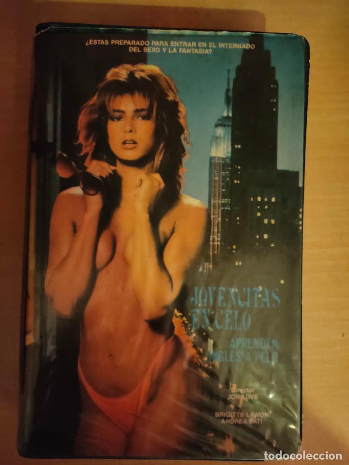 Cinema: Jovencitas en celo aprenden ingl&eacute;s a pelo (1980) VHS