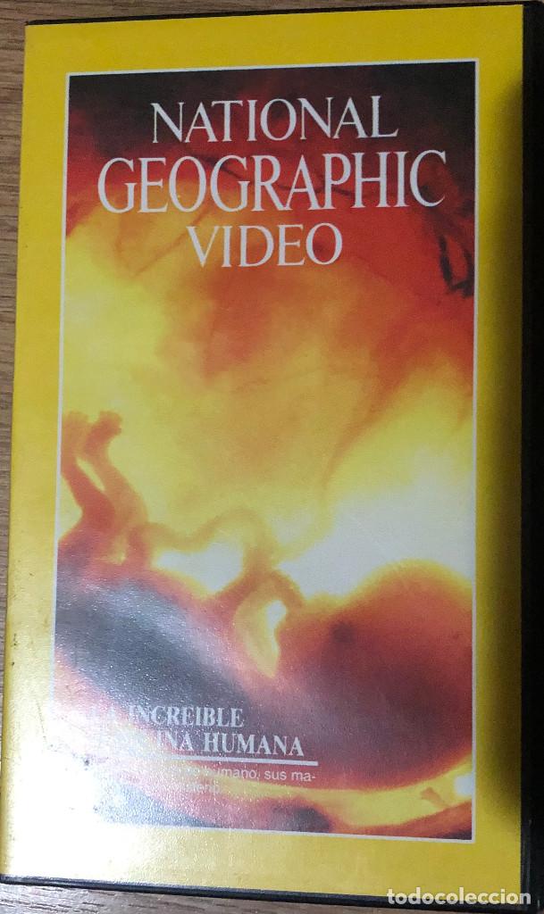 Cine: 'La incre&iacute;ble m&aacute;quina humana'. VHS National Geographic. Tri-Pictures. A&ntilde;o 1992. Buen estado.