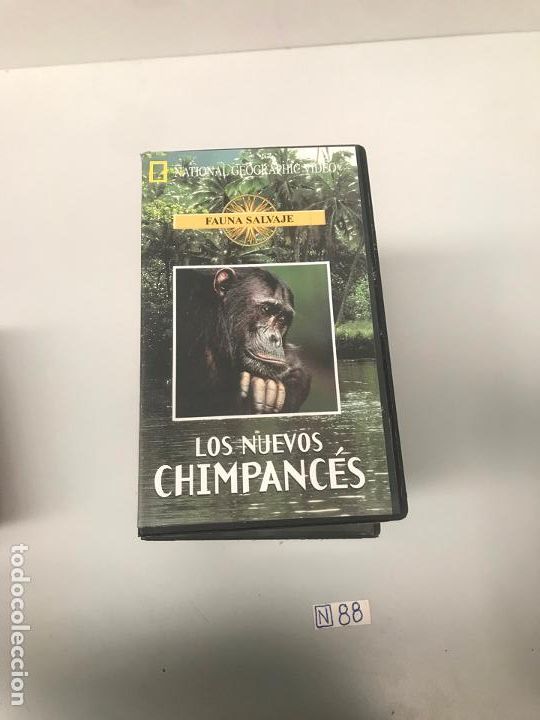 Cine: Los nuevos chimpanc&eacute;s - Foto 1