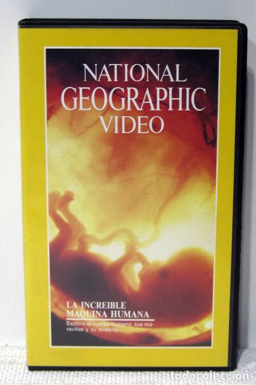 Cine: VHS NATIONAL GEOGRAPHIC VIDEO. La incre&iacute;ble M&aacute;quina humana.