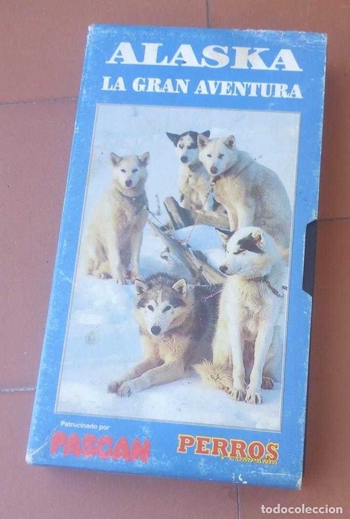 Cine: Alaska la gran aventura. Perros . VHS....sanna