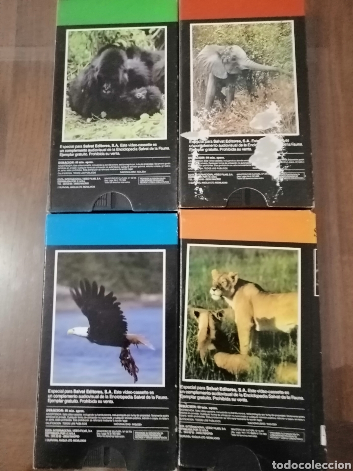 Cine: FAUNA SALVAT DOCUMENTALES - Foto 3