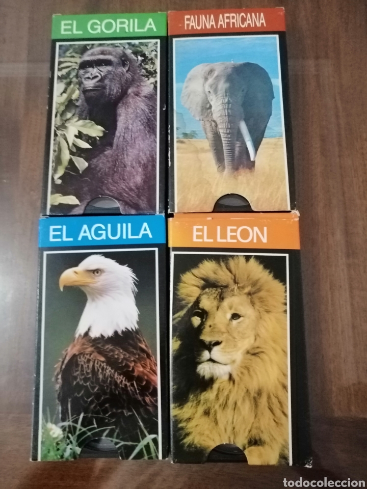 Cine: FAUNA SALVAT DOCUMENTALES - Foto 1