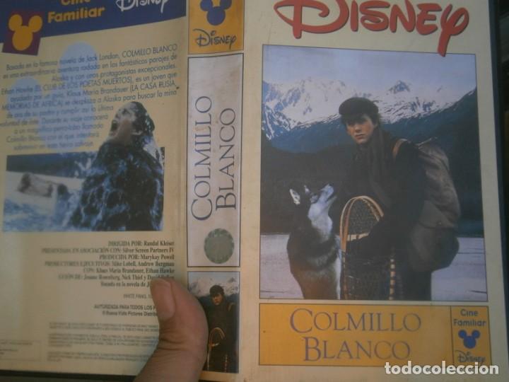 Cine: PELICULA VHS, COLMILLO BLANCO - Foto 1