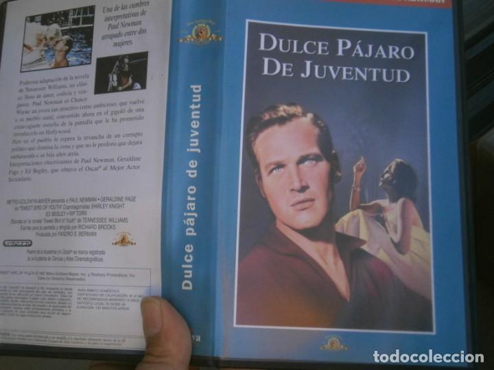 Cinema: PELICULA VHS, DULCE PAJARO DE JUVENTUD