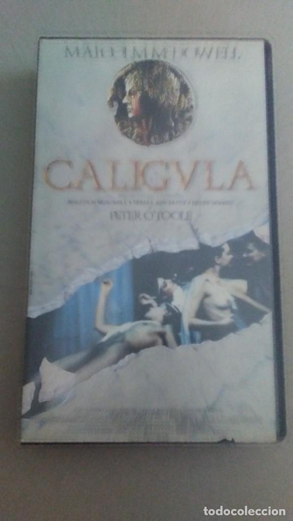 Cine: CALIGULA - Foto 1