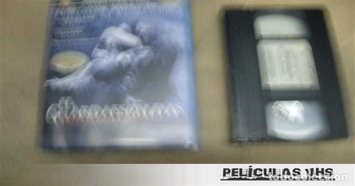 Cine: Pel&iacute;cula El Guardaespaldas en VHS - Foto 1