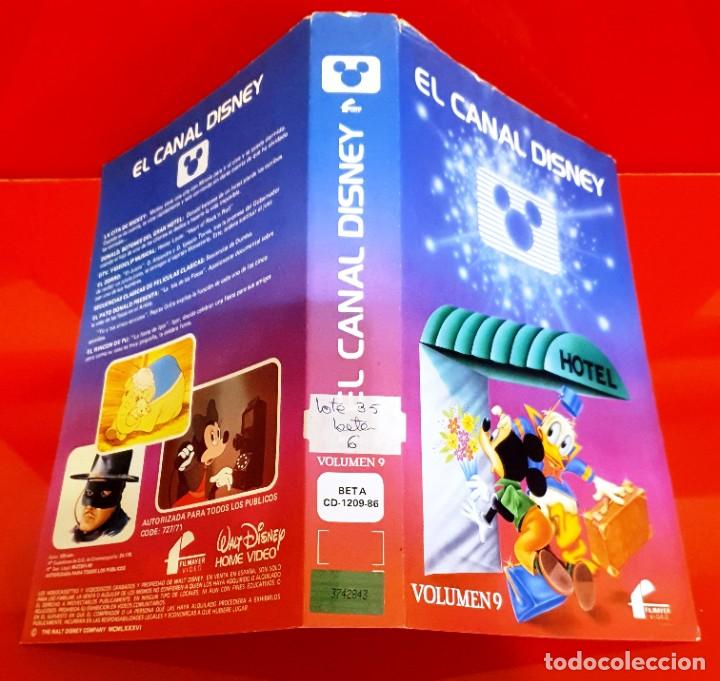 Cine: EL CANAL DISNEY VOLUMEN 9 - SOLO CAR&Aacute;TULA