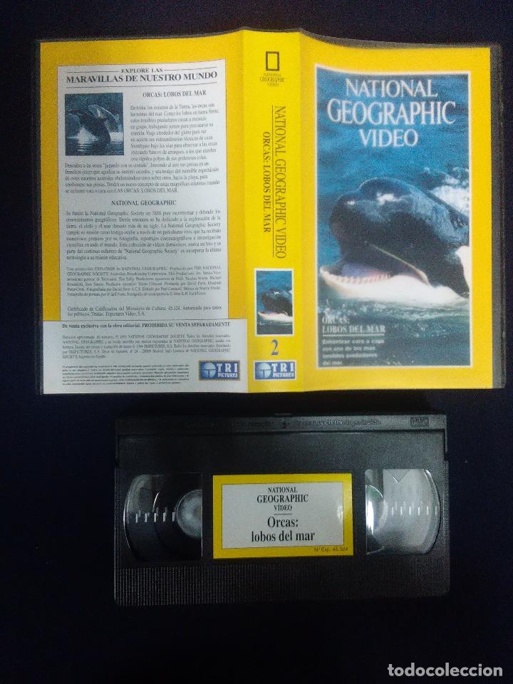 cinta documental vhs national geographic: orcas - Compra venta en  todocoleccion