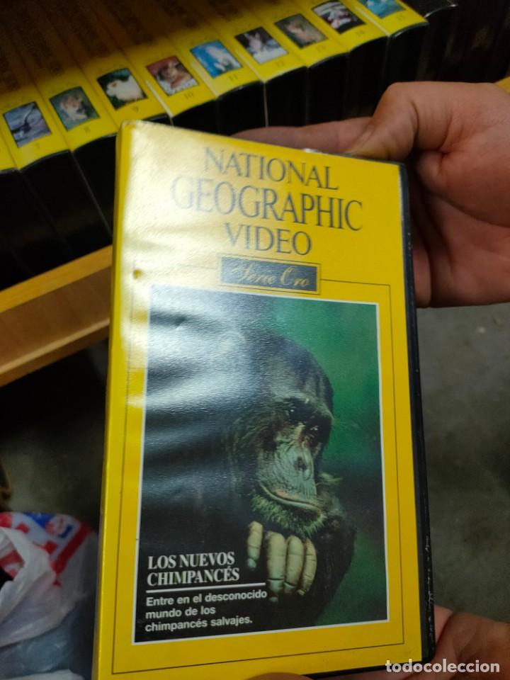 Cine: National GEOGRAPHIC colecci&oacute;n completa SERIE ORO..50 videos VHS