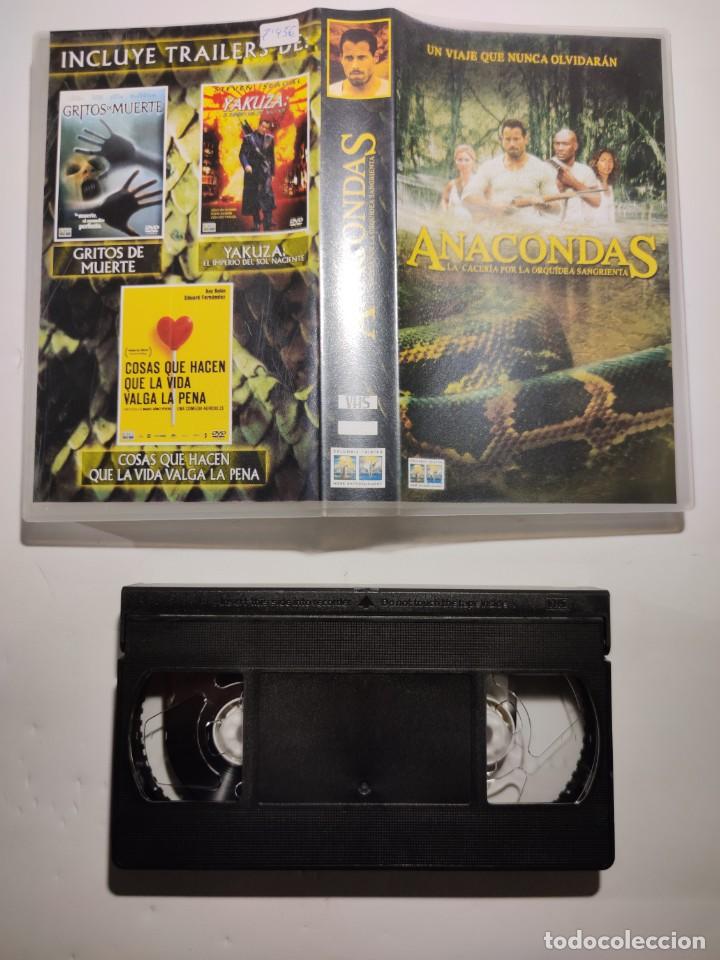 Cinema: Anacondas - Dwight H. Little
