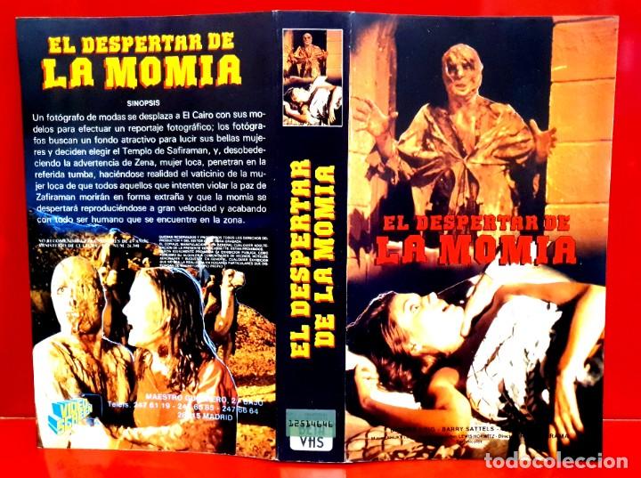 Cine: EL DESPERTAR DE LA MOMIA (SOLO CAR&Aacute;TULA)