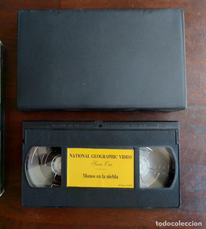 Cine: Una cinta de video VHS, Monos en la niebla de National Geografic, serie Oro,