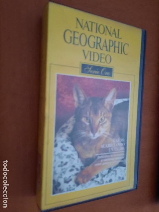 Cinema: GATOS: ACARICIANDO UN TIGRE. NATIONAL GEOGRAPHIC VIDEO. VHS. BUEN ESTADO