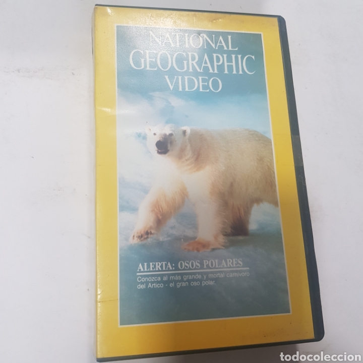 Cin&eacute;ma: VHS 1254 National Geographic osos polares &nbsp;&nbsp; -VHS SEGUNDA MANO