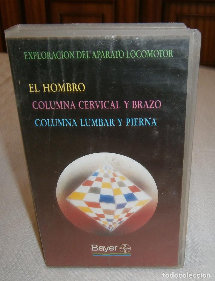 Kino: vhs exploracion del aparato locomotor Bayer
