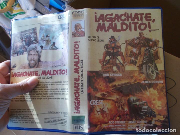 Cinema: AGACHATE MALDITO,VHS CAJA GRANDE 1 EDICCION ,DE VIDEO CLUB.