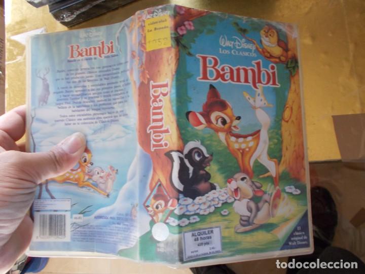 Cine: BAMBI - Foto 1