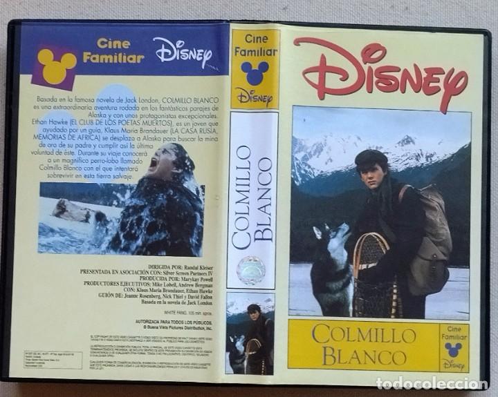 Cine: COLMILLO BLANCO - WALT DISNEY - Foto 1