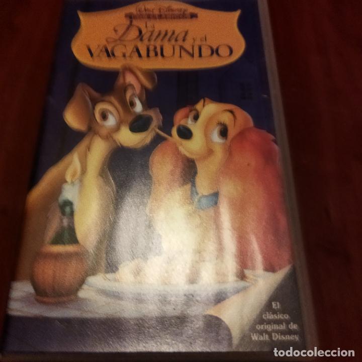 Cine: La dama y el vagabundo - Foto 1
