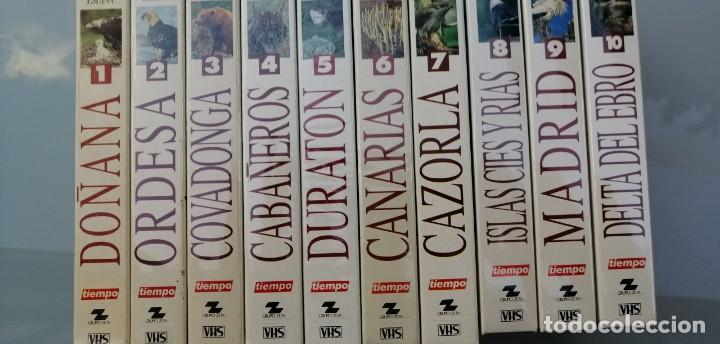 Cin&eacute;ma: Colecci&oacute;n 10 VHS.Gran enciclopedia audiovisual de la naturaleza.ITiempo, 1993