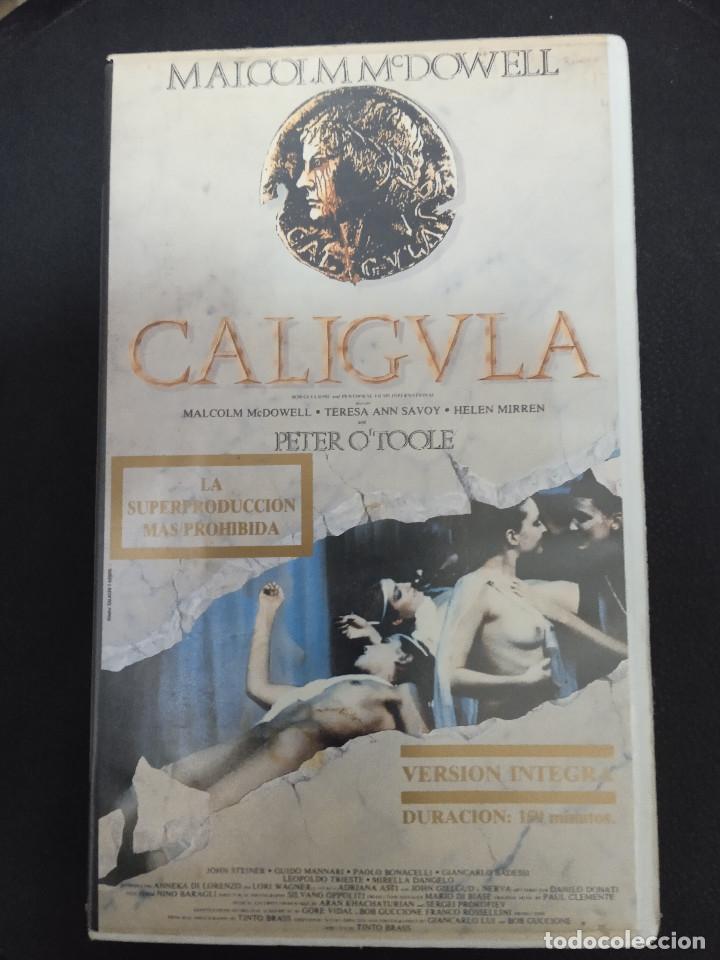 Cine: CALIGULA - Foto 1