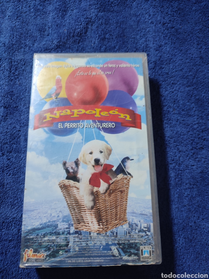 Cine: Napole&oacute;n . El perrito aventurero. Filmax - Foto 1