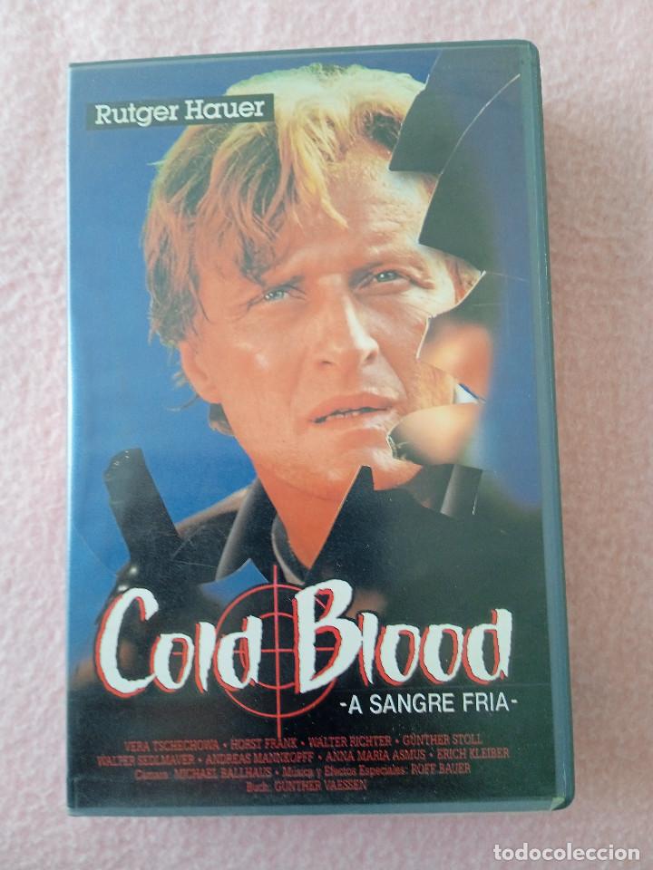 Cine: COLD BLOOD - Foto 1
