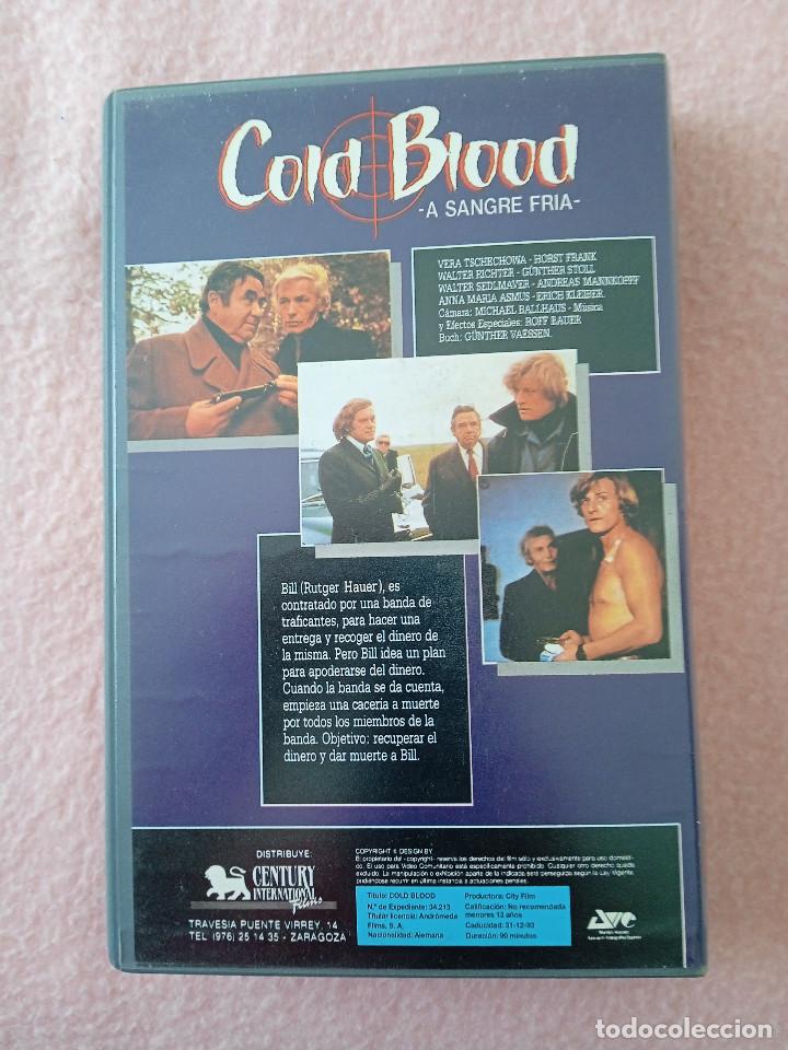 Cine: COLD BLOOD - Foto 2