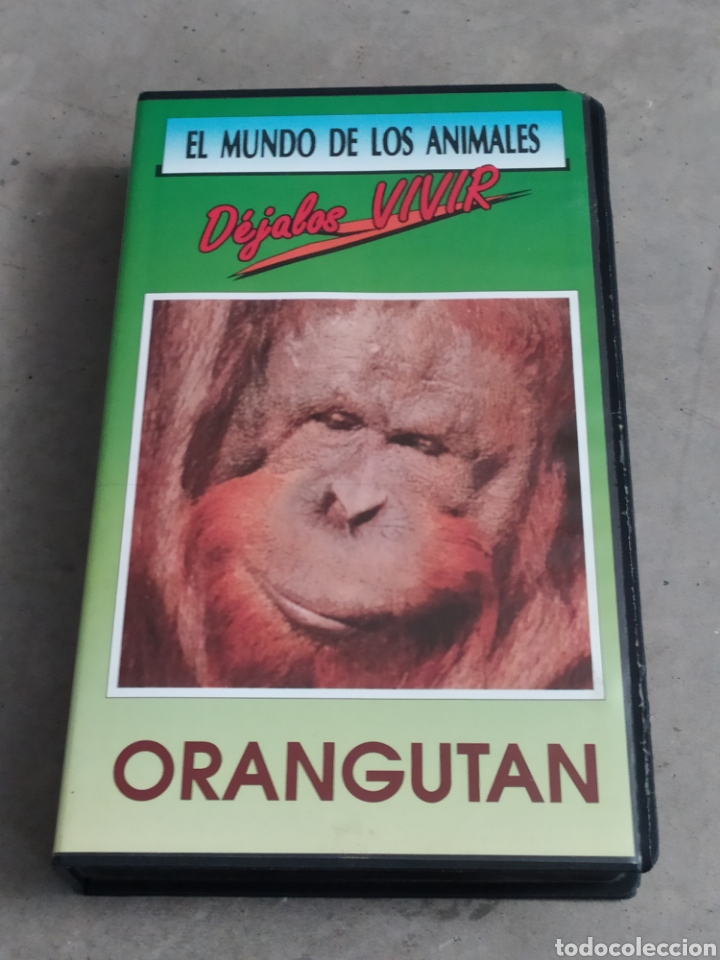 Kino: EL MUNDO DE LOS ANIMALES- EL ORANGUT&Aacute;N - VHS