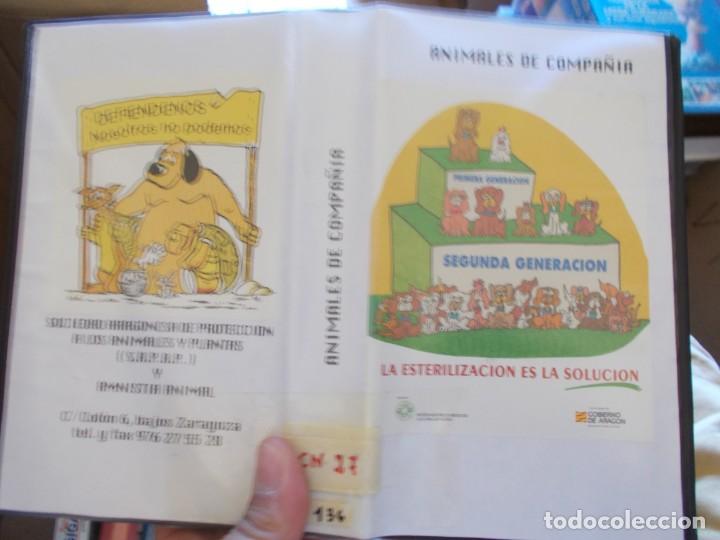 Cine: ANIMALES DE COMPA&Ntilde;IA VHS - Foto 1