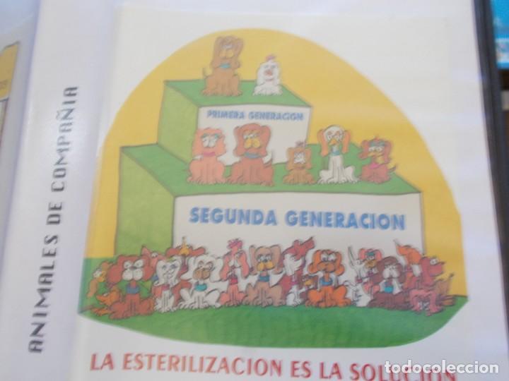 Cine: ANIMALES DE COMPA&Ntilde;IA VHS - Foto 4