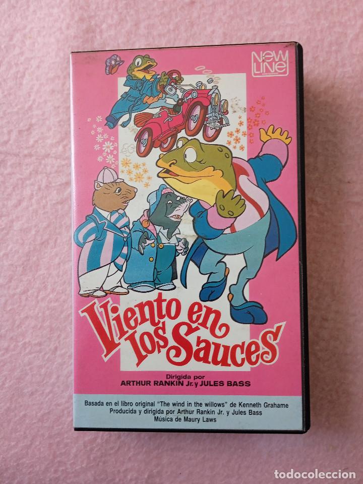 Cine: VIENTO EN LOS SAUCES - Foto 1