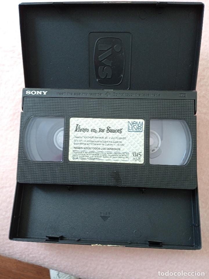 Cine: VIENTO EN LOS SAUCES - Foto 3