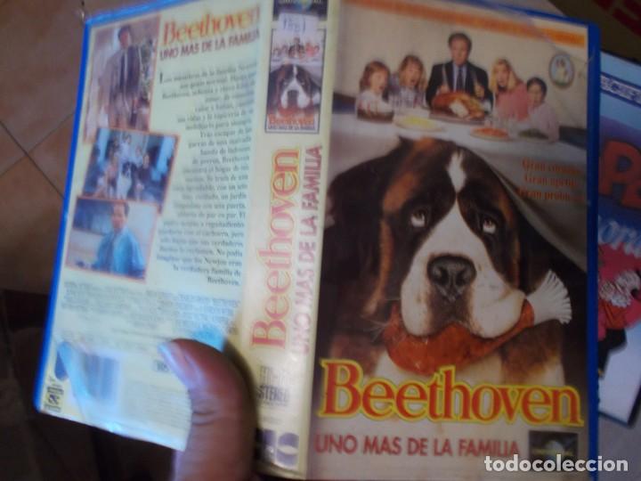 Cine: BEETHOVEN VHS - Foto 1