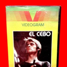 Cine: EL CEBO (1976) - PETER PATZAK, YVES BENEYTON, RAYMOND PELLEGRIN, CARROL BAKER