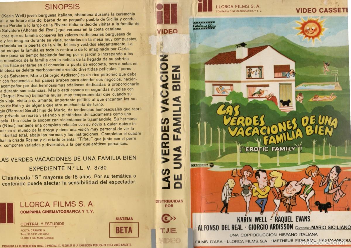 Cine: VHS - LAS VERDES VACACIONES DE UNA FAMILIA BIEN - KARIN WELL / MARIO SICILIANO - CLASIFICADA S
