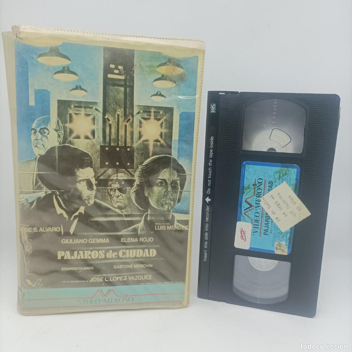 Cine: PAJAROS DE CIUDAD - Foto 1
