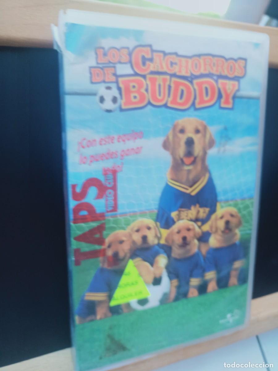 Cine: LOS CACHORROS DE BUDDY - VIDEOCLUB TAPS - EN ESTUCHE GRANDE - VHS