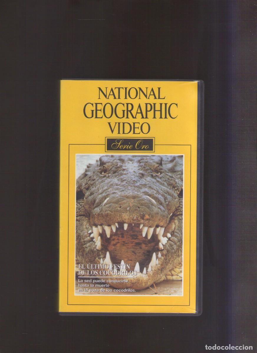Cinema: Mp. VHS National Geographic (Serie Oro) 4 - El &uacute;ltimo fest&iacute;n de los cocodrilos | G&eacute;nero Documental