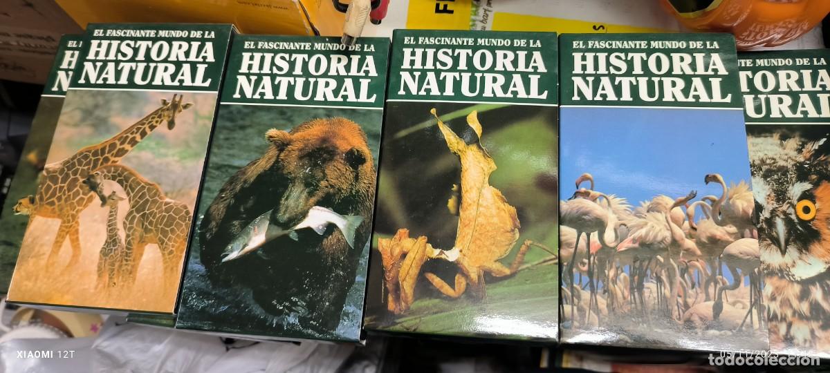 Cine: Coleccion VHS El fascidente mundo de Historia Natural